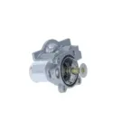 NRF 725079 Termostato, refrigerante