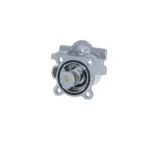 NRF 725079 Termostato, refrigerante