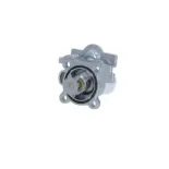 NRF 725079 Termostato, refrigerante