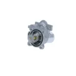 NRF 725079 Termostato, refrigerante