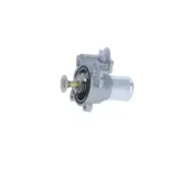 NRF 725079 Termostato, refrigerante