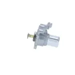 NRF 725079 Termostato, refrigerante