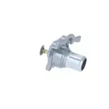 NRF 725079 Termostato, refrigerante