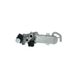 NRF 48213 Válvula EGR