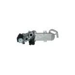 NRF 48213 Válvula EGR