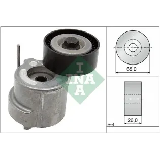 Schaeffler INA 534040410 Tensor de correa, correa poli V