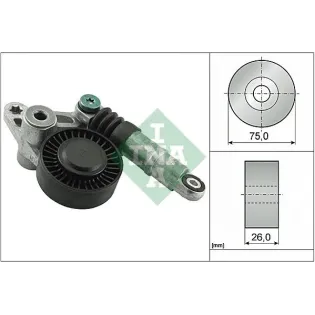 Schaeffler INA 534009810 Tensor de correa, correa poli V