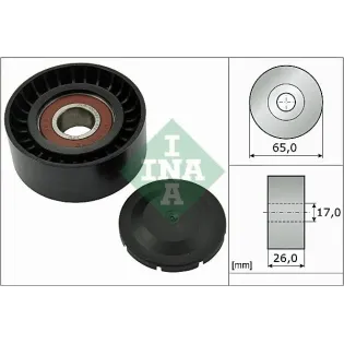 Schaeffler INA 532055710 Polea inversión/guía, correa poli V
