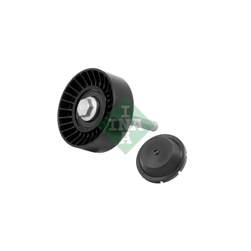 Schaeffler INA 532034610 Polea inversión/guía, correa poli V