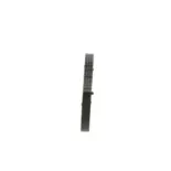 BOSCH 1987947946 Correa trapecial poli V
