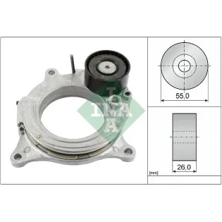 Schaeffler INA 534069210 Tensor de correa, correa poli V