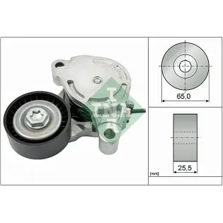 Schaeffler INA 534057110 Tensor de correa, correa poli V