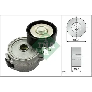 Schaeffler INA 534006810 Tensor de correa, correa poli V