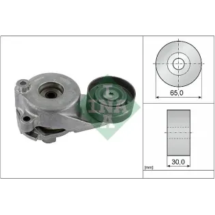 Schaeffler INA 534018310 Tensor de correa, correa poli V