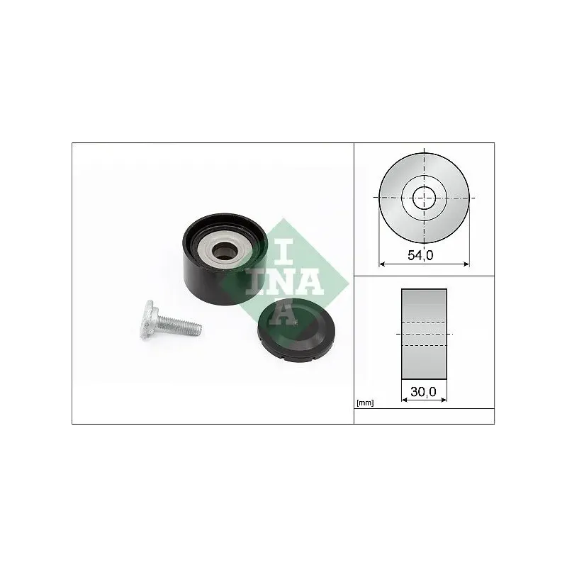 Schaeffler INA 532023410 Polea inversión/guía, correa poli V