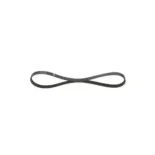 BOSCH 1987946111 Correa trapecial poli V