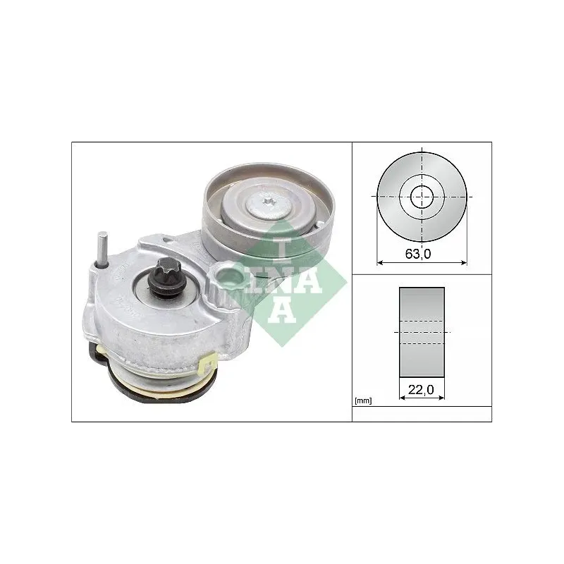 Schaeffler INA 534014710 Tensor de correa, correa poli V