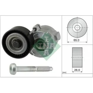 Schaeffler INA 534061010 Tensor de correa, correa poli V