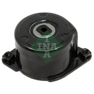 Schaeffler INA 534017010 Tensor de correa, correa poli V