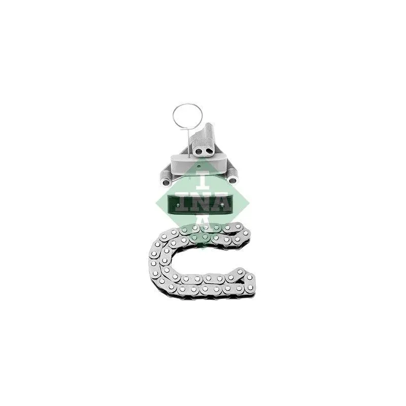 Schaeffler INA 559011110 Juego de cadena de distribución