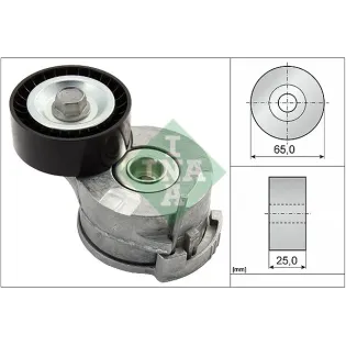Schaeffler INA 534036910 Tensor de correa, correa poli V