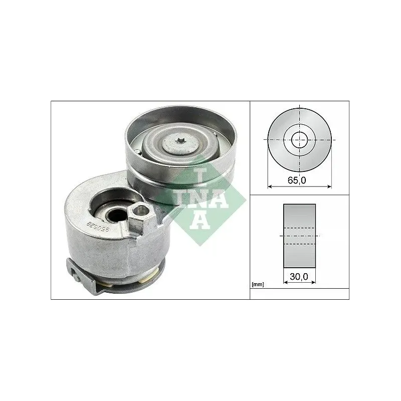 Schaeffler INA 534002710 Tensor de correa, correa poli V