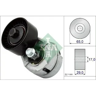 Schaeffler INA 534010920 Tensor de correa, correa poli V