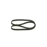 BOSCH 1987947972 Correa trapecial poli V