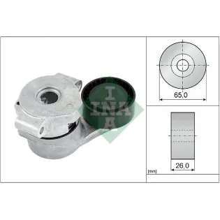 Schaeffler INA 534030810 Tensor de correa, correa poli V