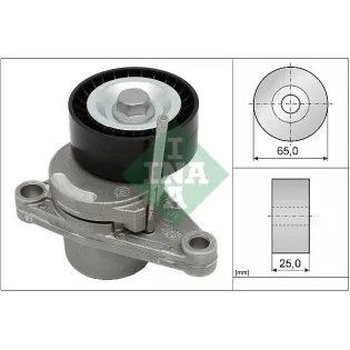 Schaeffler INA 534025010 Tensor de correa, correa poli V