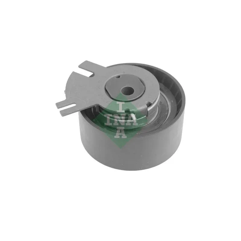 Schaeffler INA 531054810 Polea tensora, correa dentada