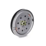 Schaeffler LuK 415055710 Volante motor