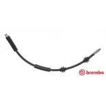 BREMBO T06030 Tubo flexible de frenos