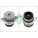 Schaeffler INA 538003110 Bomba de agua, refrigeración del motor