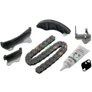 Schaeffler INA 559100820 Juego de cadena de distribución