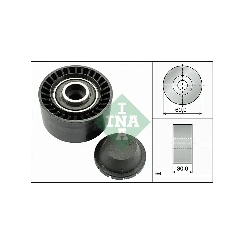 Schaeffler INA 532032010 Polea inversión/guía, correa poli V