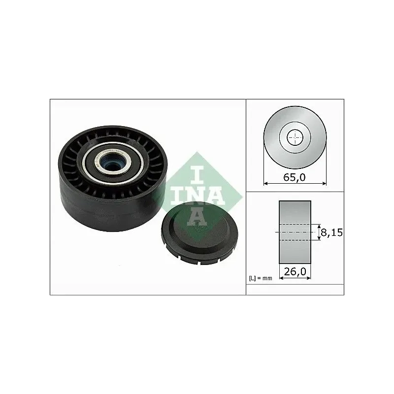 Schaeffler INA 532056410 Polea inversión/guía, correa poli V