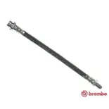 BREMBO T24037 Tubo flexible de frenos