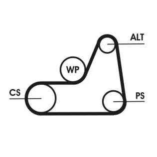 CONTINENTAL CTAM 6PK1042ELAST Correa trapecial poli V