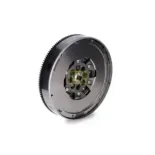 Schaeffler LuK 415047210 Volante motor