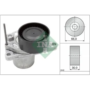 Schaeffler INA 534062410 Tensor de correa, correa poli V