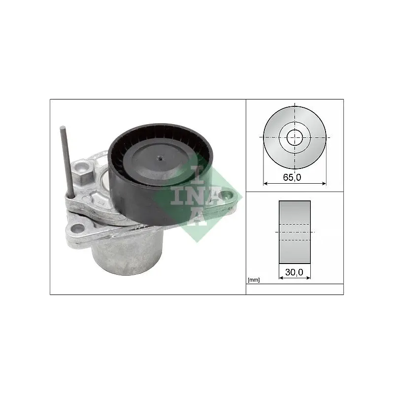 Schaeffler INA 534062410 Tensor de correa, correa poli V