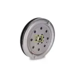 Schaeffler LuK 415025010 Volante motor