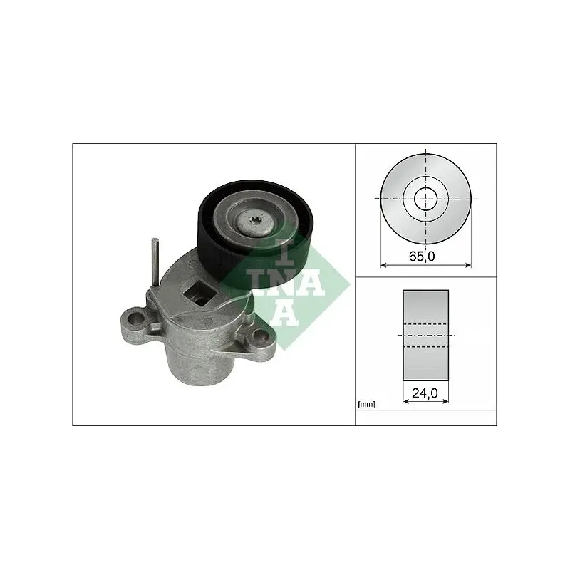 Schaeffler INA 534050710 Tensor de correa, correa poli V