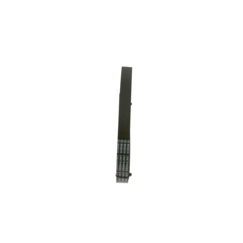 QH-Benelux QBR71560 Correa Trapecial Poli V