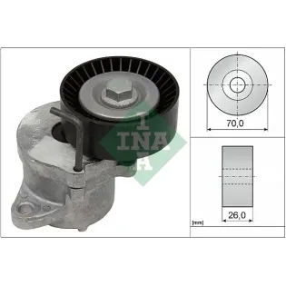 Schaeffler INA 534043910 Tensor de correa, correa poli V