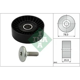Schaeffler INA 532043910 Polea inversión/guía, correa poli V