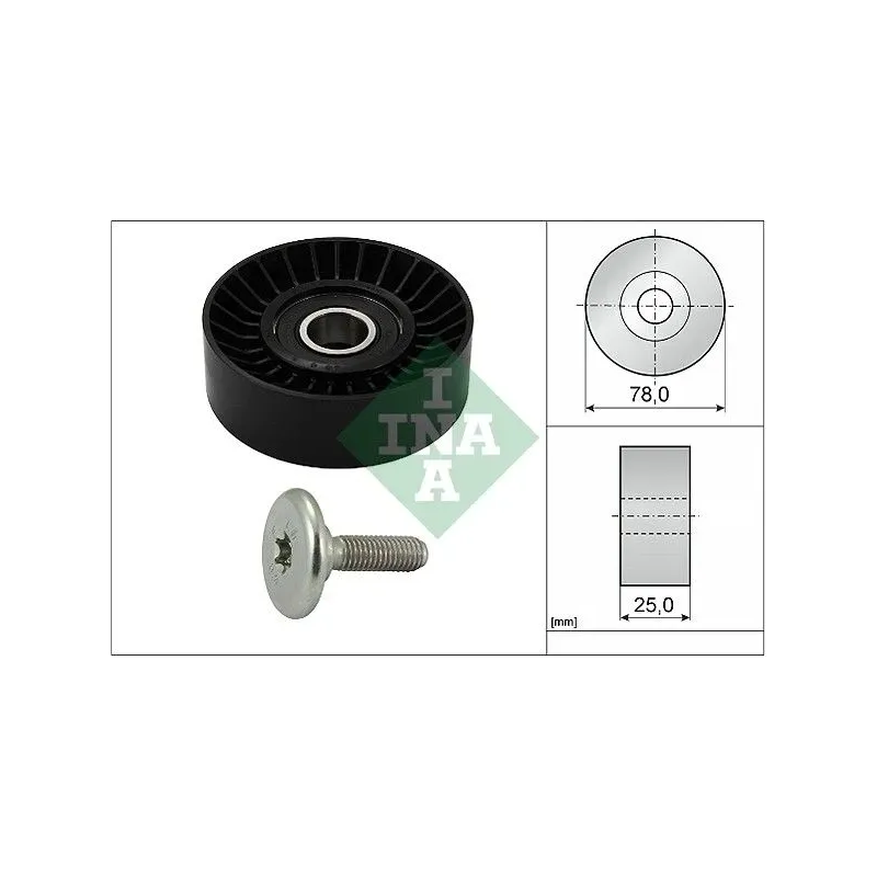 Schaeffler INA 532043910 Polea inversión/guía, correa poli V