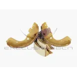 MDR MRS-2113 Juego de zapatas de frenos