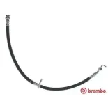 BREMBO T59084 Tubo flexible de frenos